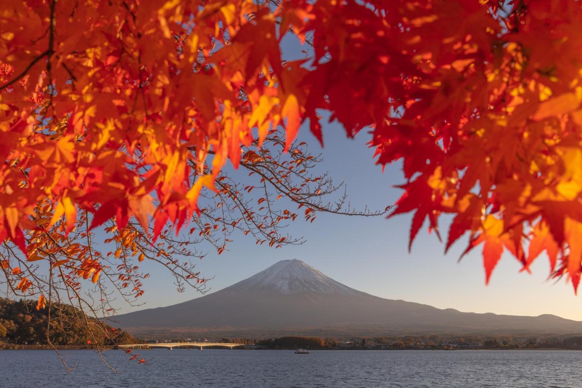 Mt Fuji Glamping Tourist Villa Kawaguchiko Fujikawaguchiko Exterior foto
